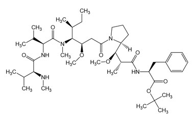 PA PEP 004955
