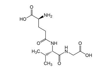 PA PEP 004967