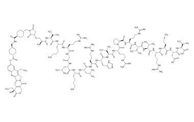 PA PEP 004970