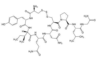 PA PEP 004971