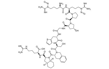 PA PEP 004983