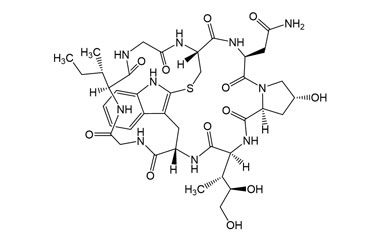 PA PEP 004998