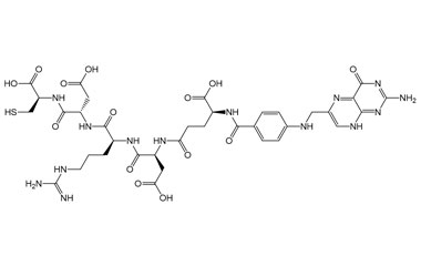 PA PEP 004999