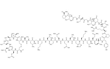 PA PEP 005002