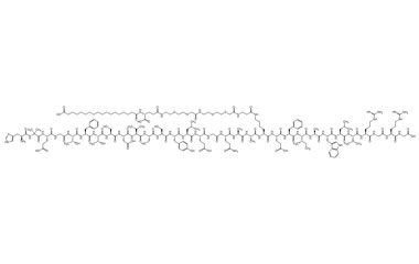 PA PEP 005006
