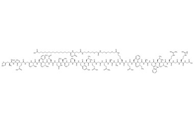 PA PEP 005007