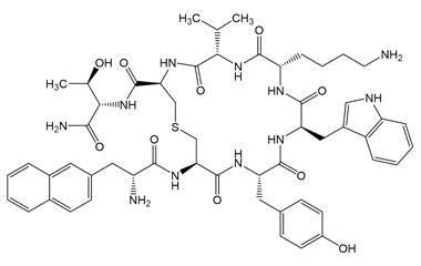 PA PEP 005017