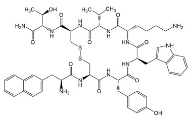 PA PEP 005019