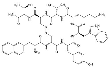 PA PEP 005022