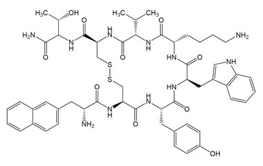 PA PEP 005023