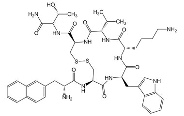 PA PEP 005024