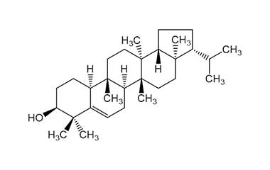 PA PHY 000027