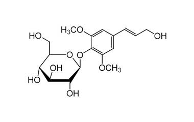 PA PHY 000035