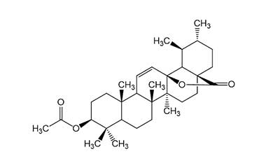 PA PHY 000038