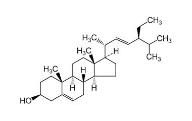 PA PHY 000046