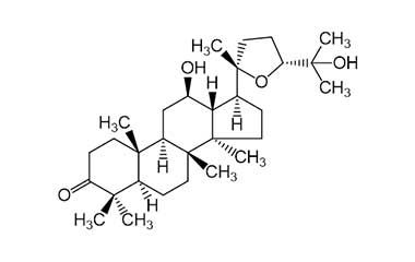 PA PHY 000050