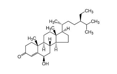 PA PHY 000069