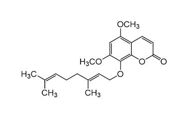 PA PHY 000132