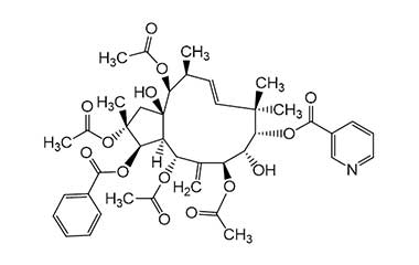 PA PHY 000138