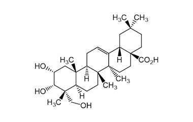 PA PHY 000150