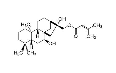 PA PHY 000153