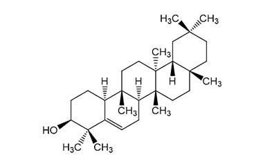 PA PHY 000158