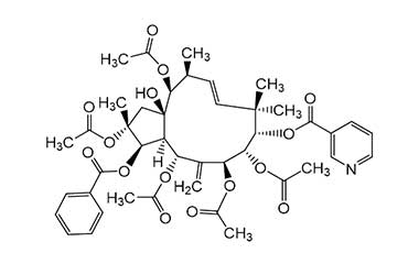 PA PHY 000160