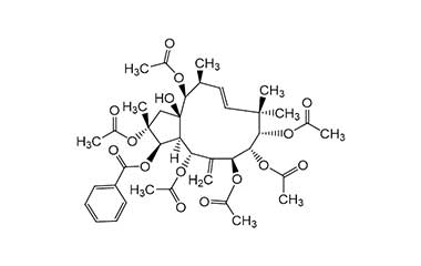 PA PHY 000166