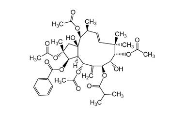 PA PHY 000170