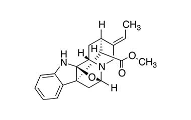 PA PHY 000174