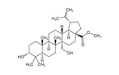 PA PHY 000179