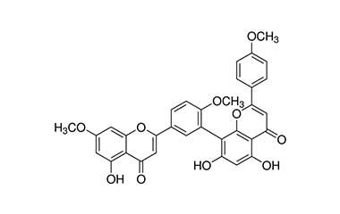 PA PHY 000199