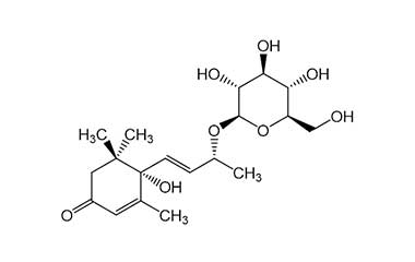 PA PHY 000200