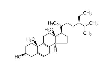 PA PHY 000204