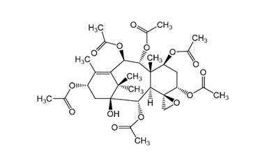 PA PHY 000206