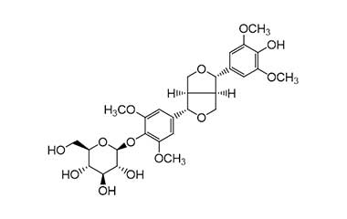 PA PHY 000208