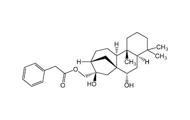 PA PHY 000210