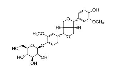 PA PHY 000215