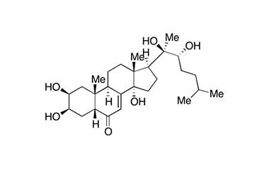 PA PHY 000232