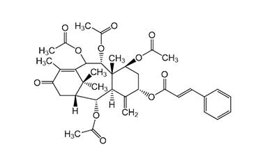 PA PHY 000249