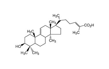 PA PHY 000254