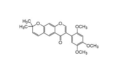 PA PHY 000291