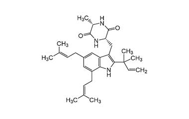 PA PHY 000302