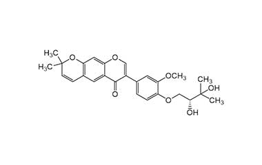 PA PHY 000338