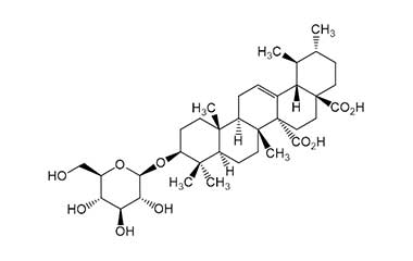 PA PHY 000514