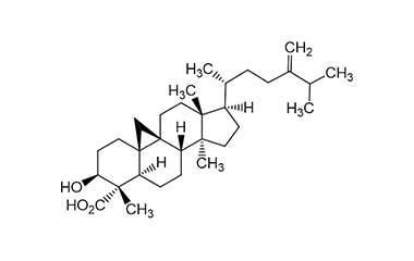 PA PHY 000750