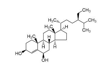 PA PHY 000794