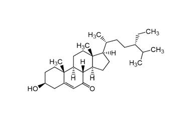 PA PHY 000856