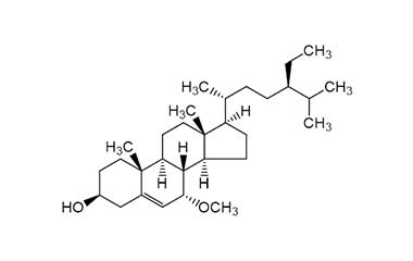 PA PHY 000920