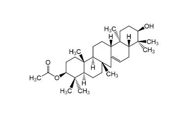 PA PHY 000952